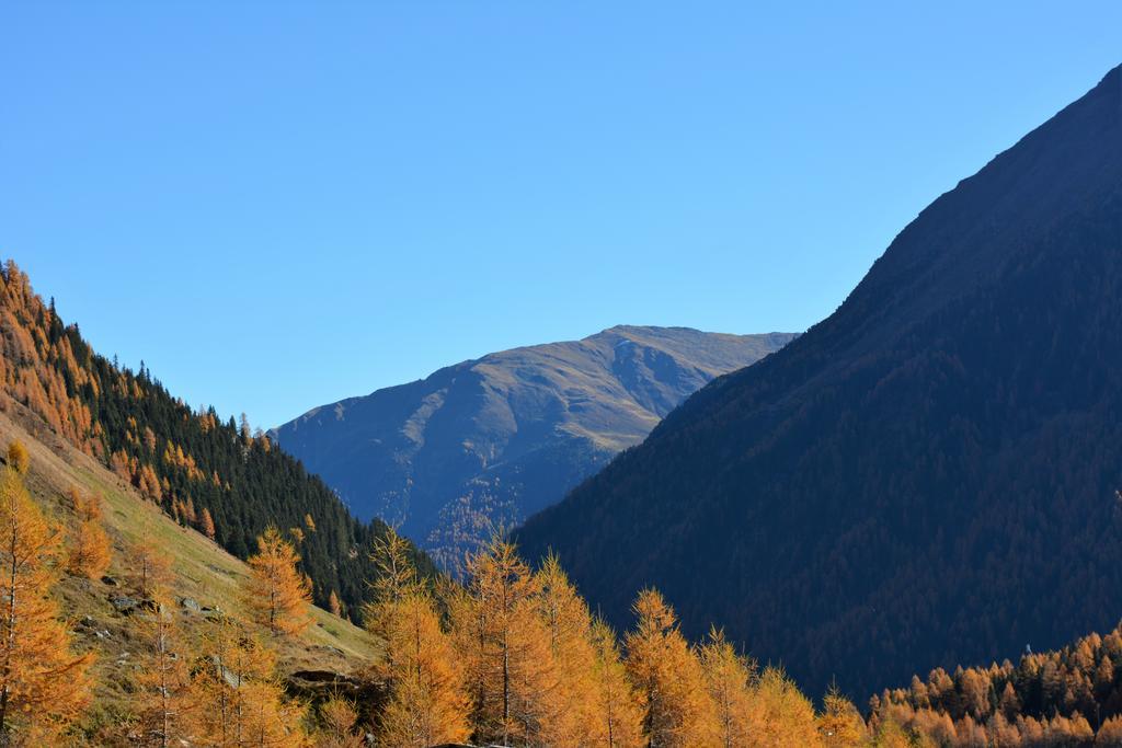 Appartement Haus Sonnenalm à Sankt Sigmund im Sellrain Extérieur photo